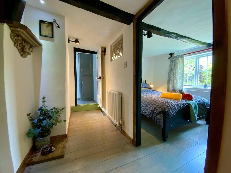 Beautiful 500 Year Old Listed Kentish Cottage Wingham Esterno foto